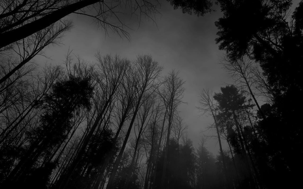 Black And White Pictures Anime Forest Hd Wallpaper