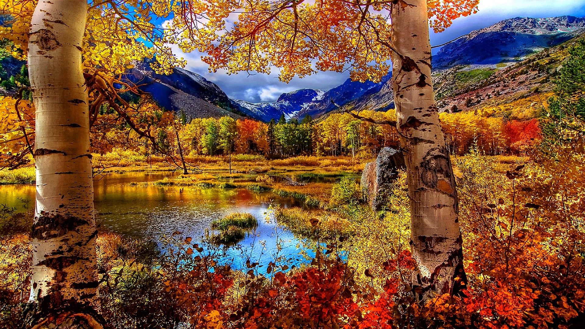 Autumn Scenic Wallpaper