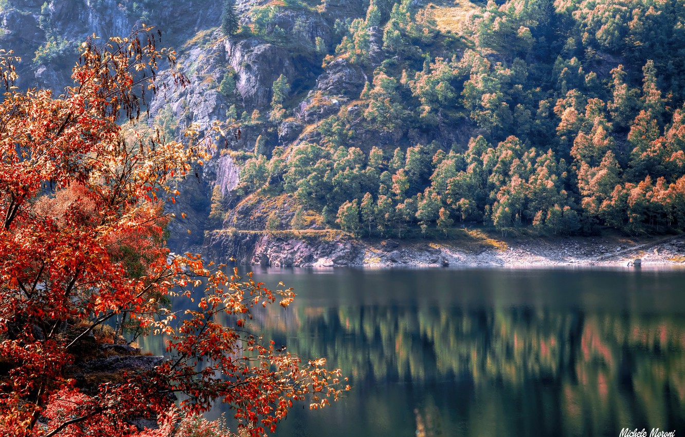 Wallpaper Autumn Trees River Rocks Italy Piedmont Image For