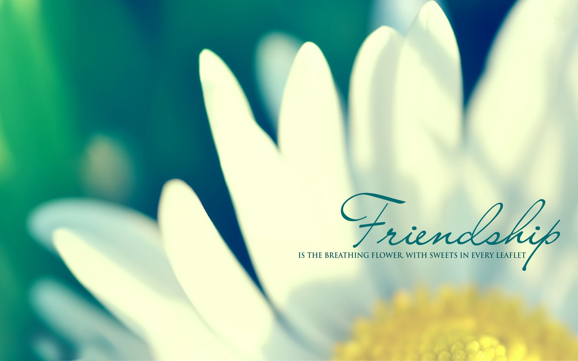 Best Friends Forever Background