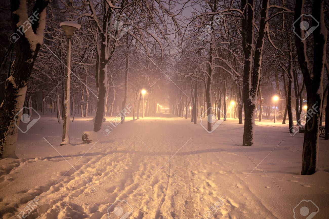 Night Winter Landscape Snowy Alley Of City Illuminated Park Stock