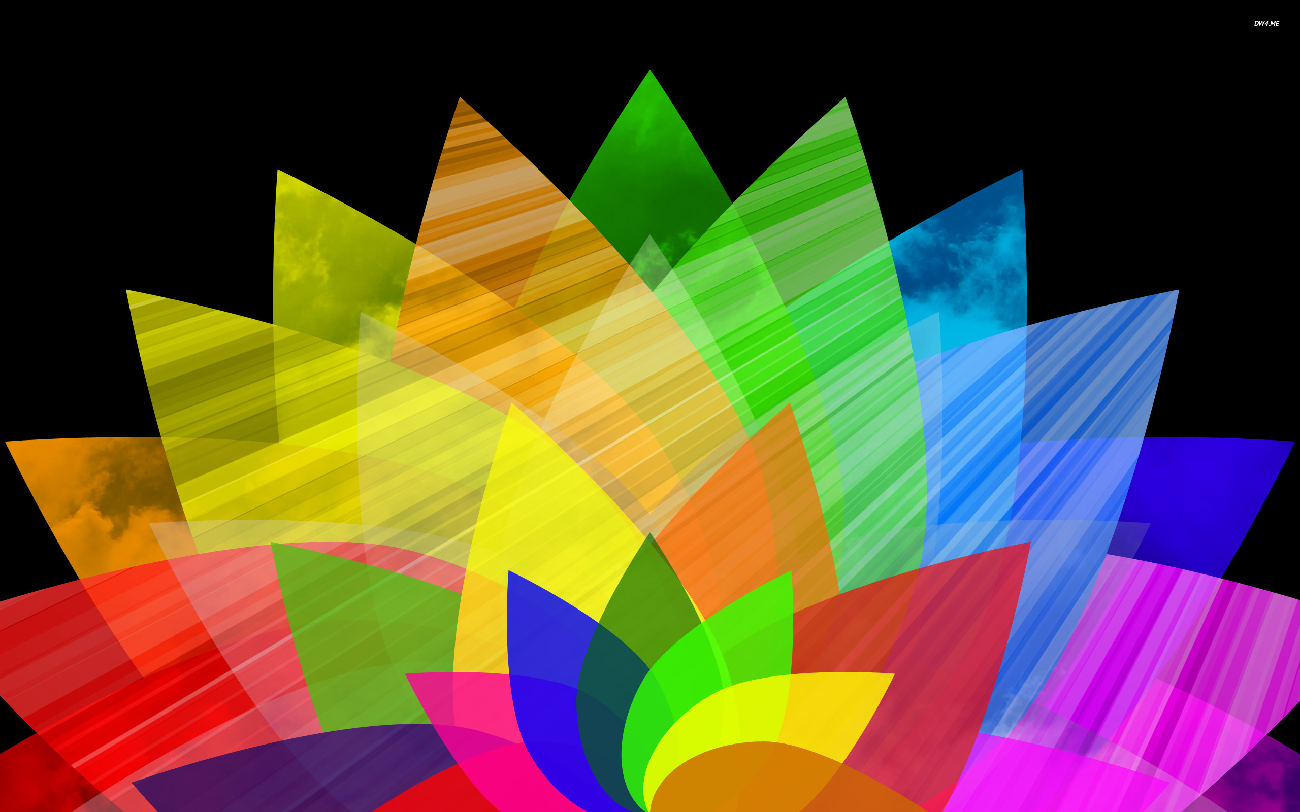 Colorful Flower Wallpaper Abstract