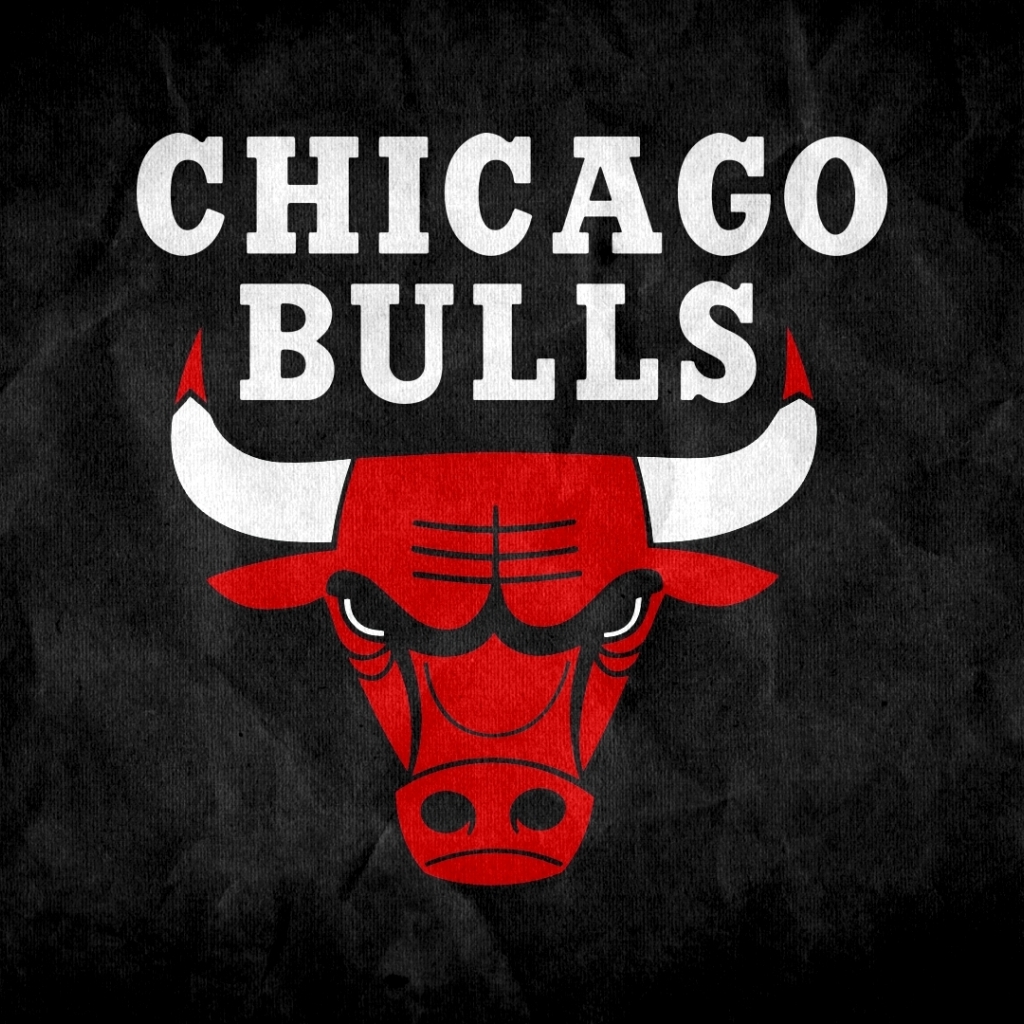 Download Chicago Bulls Logo wallpaper in Other wallpapers with all