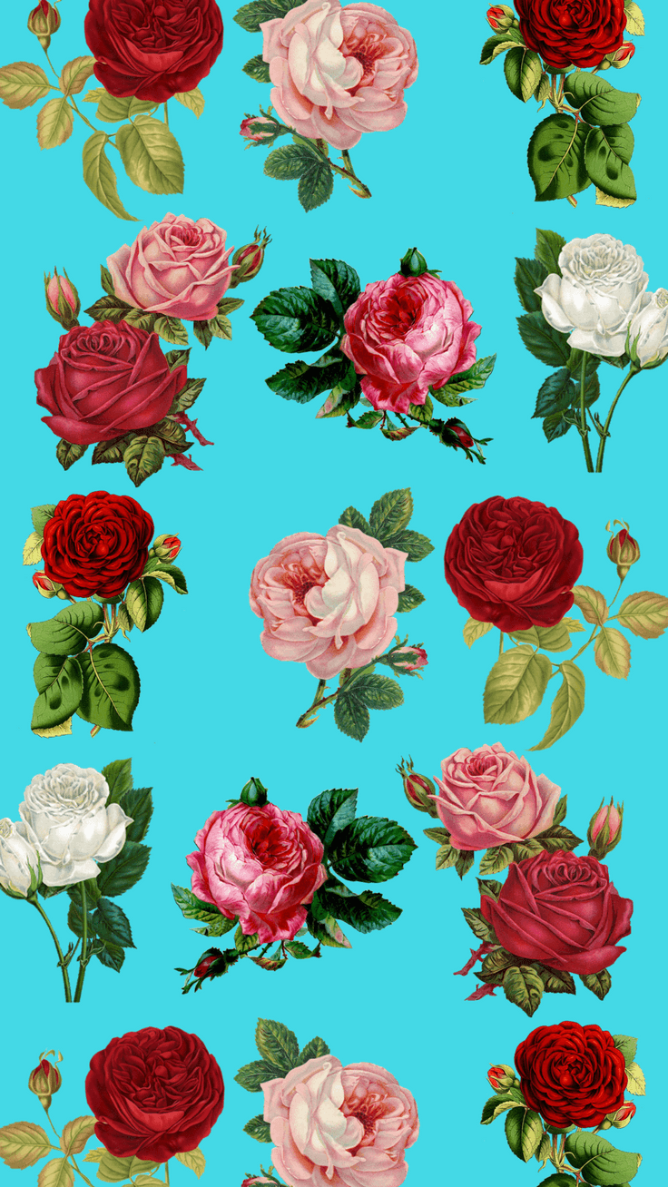 Floral iPhone Wallpaper Top Background