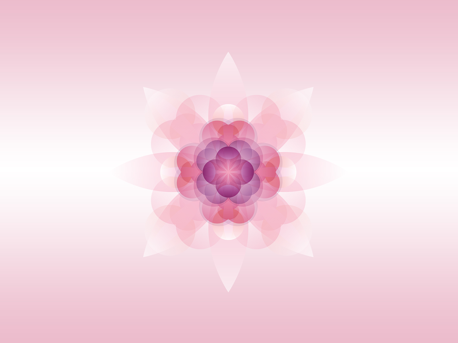 Pink Flower Background Powerpoint Background For