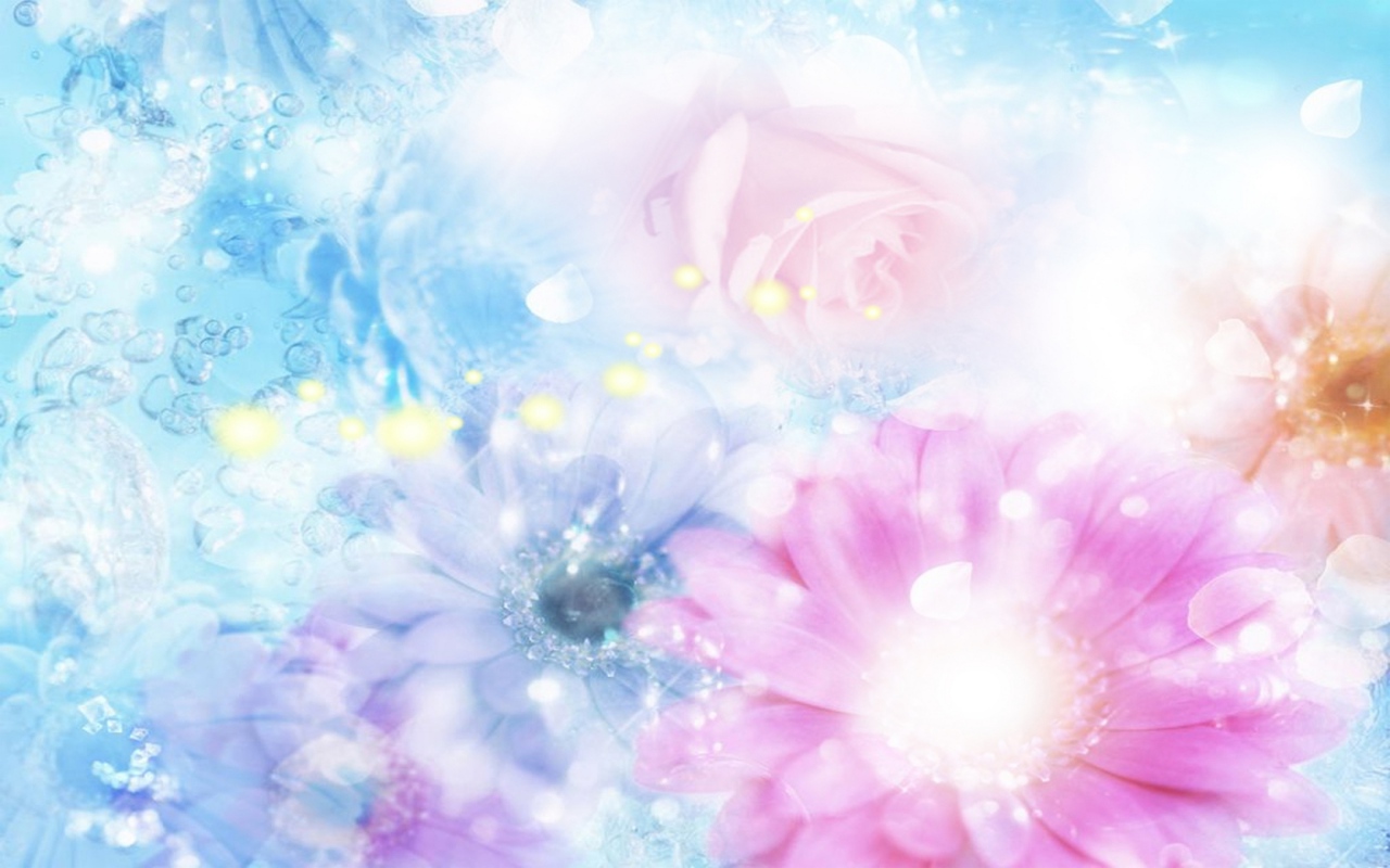 Wallpaper Pink Blue Flowers Blurred Background