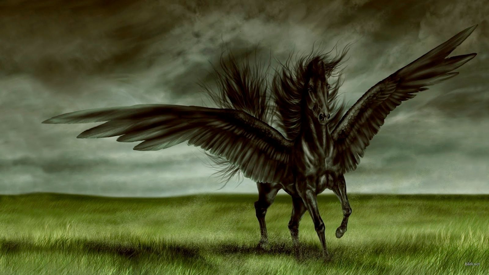 All Wallpapers Black Horse New Best hd Wallpapers 2013