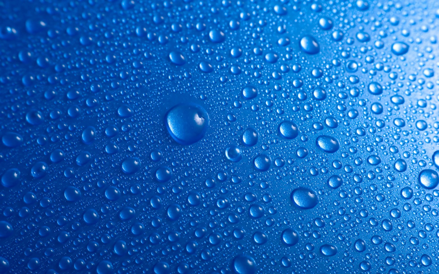 Wallpapers Of Raindrops