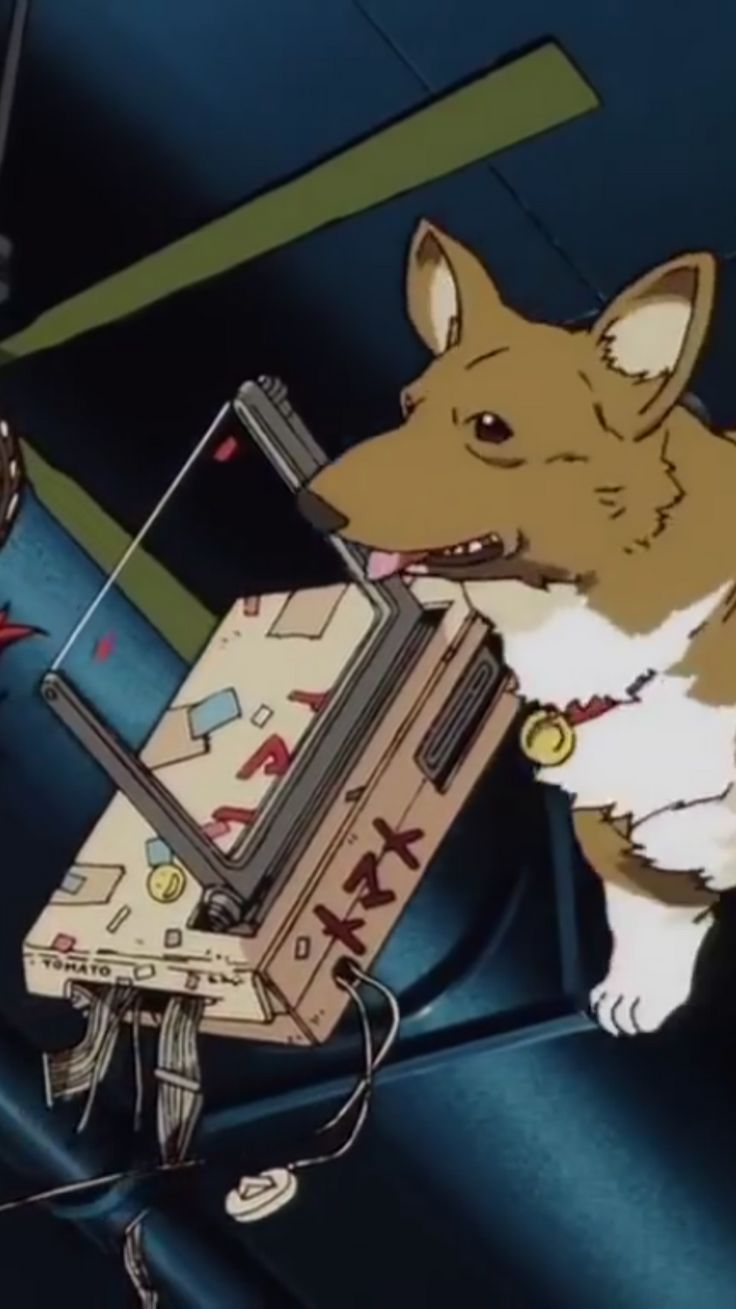 Ein S Cowboy Bebop Wallpaper Western Anime