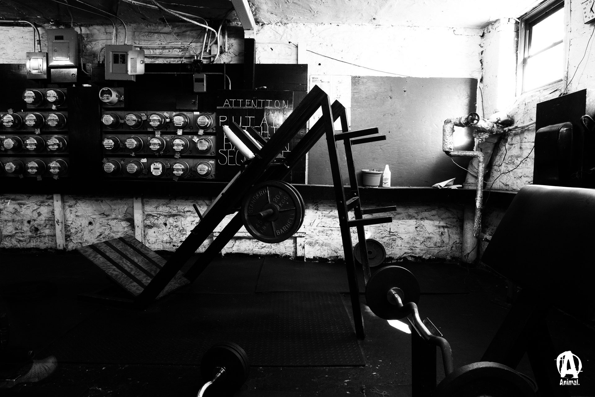 Gym Wallpaper HD On Picsfair Karma Nutrition