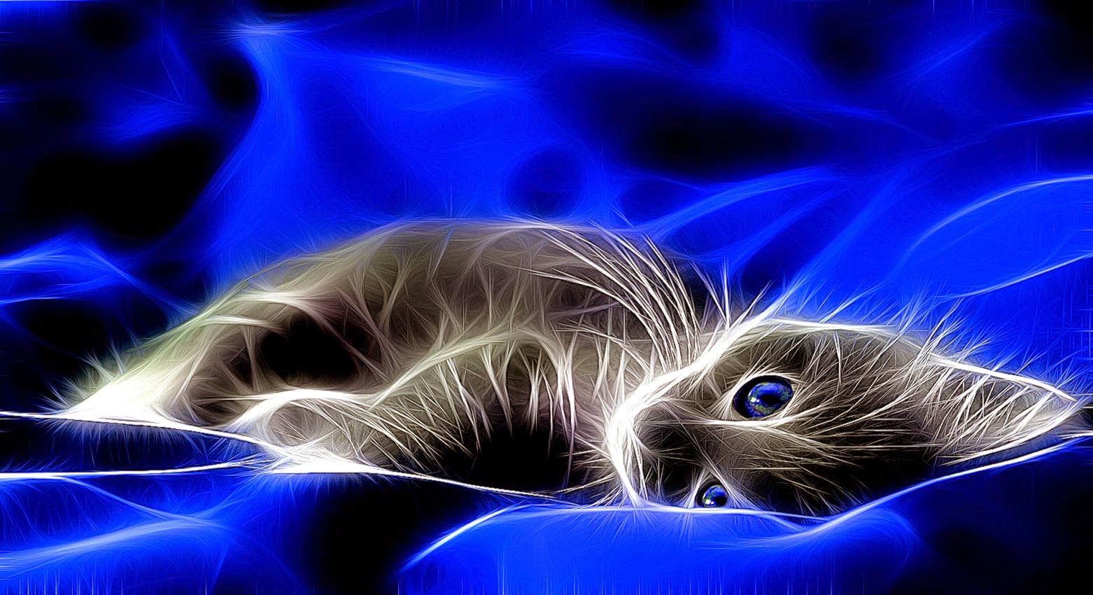3d Cats Wallpaper Android Light All HD