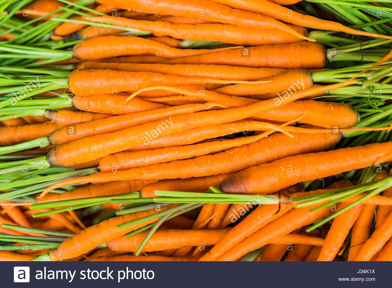 Free download Baby Carrots Fresh organic carrots Background texture of ...