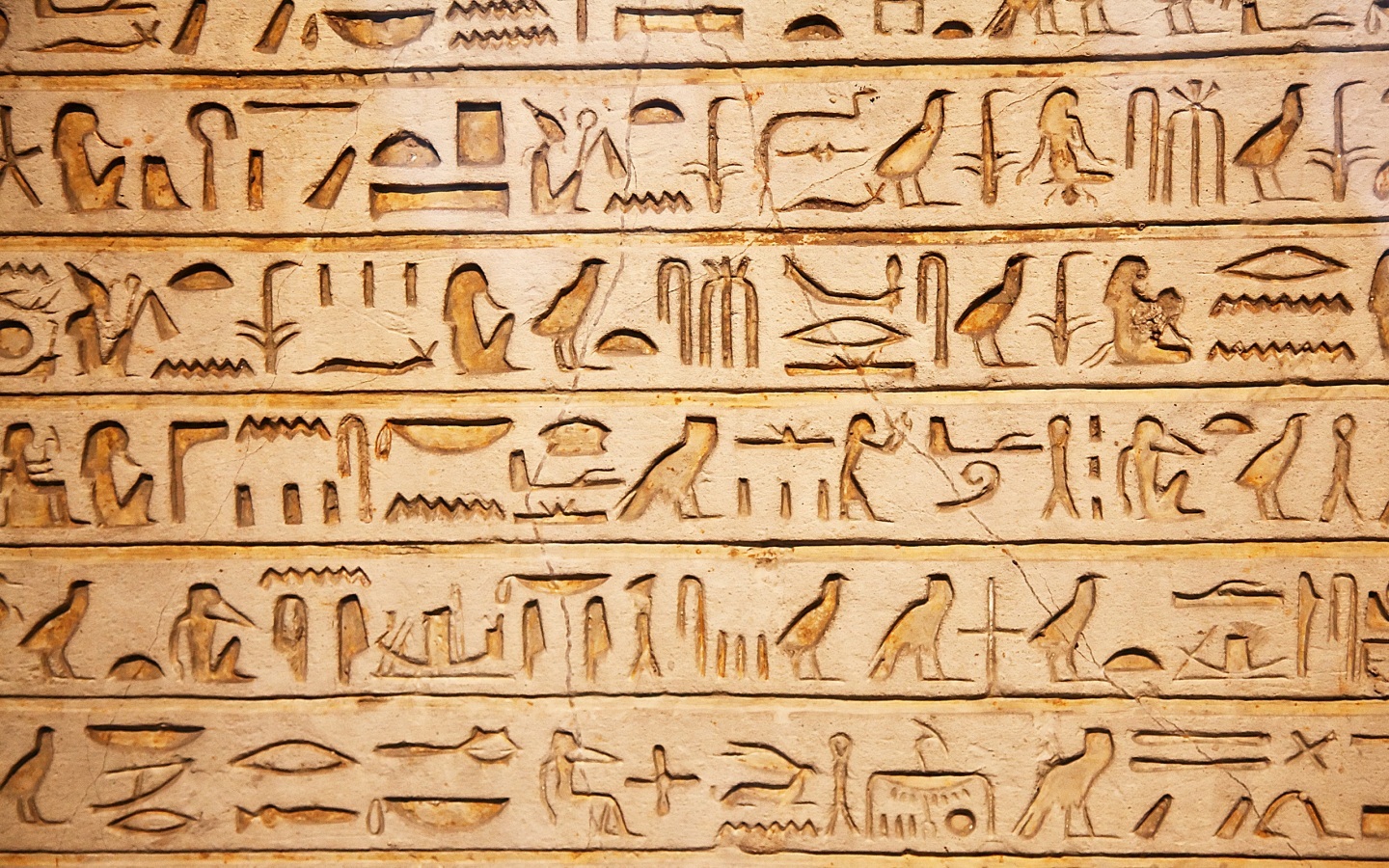 Meaning Wallpaper Egyptian Hieroglyphics For House Border