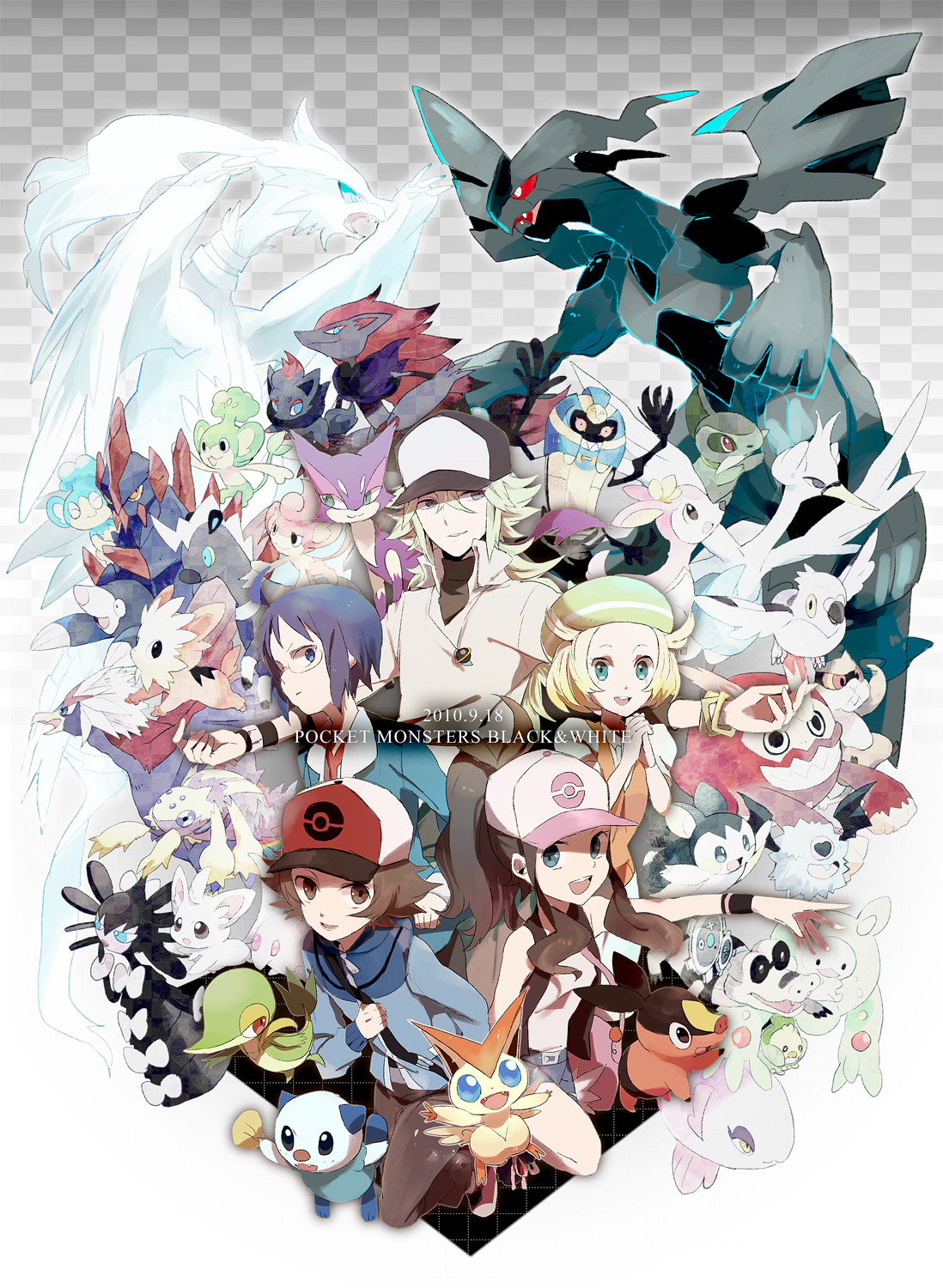 Pokemon Black Wallpapers 70 pictures
