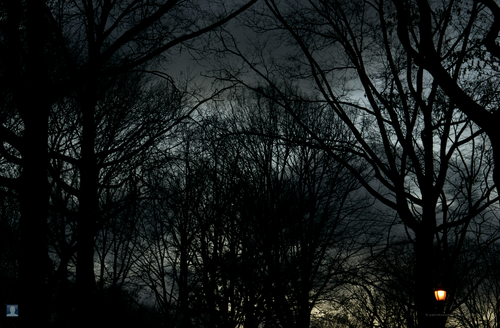 Image Cool Dark Trees Wallpaper For Desktop Pc Android