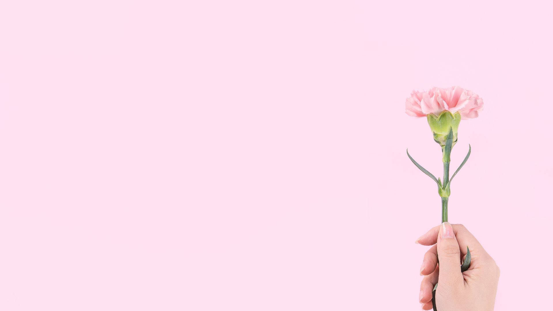 Baby Pink Wallpaper