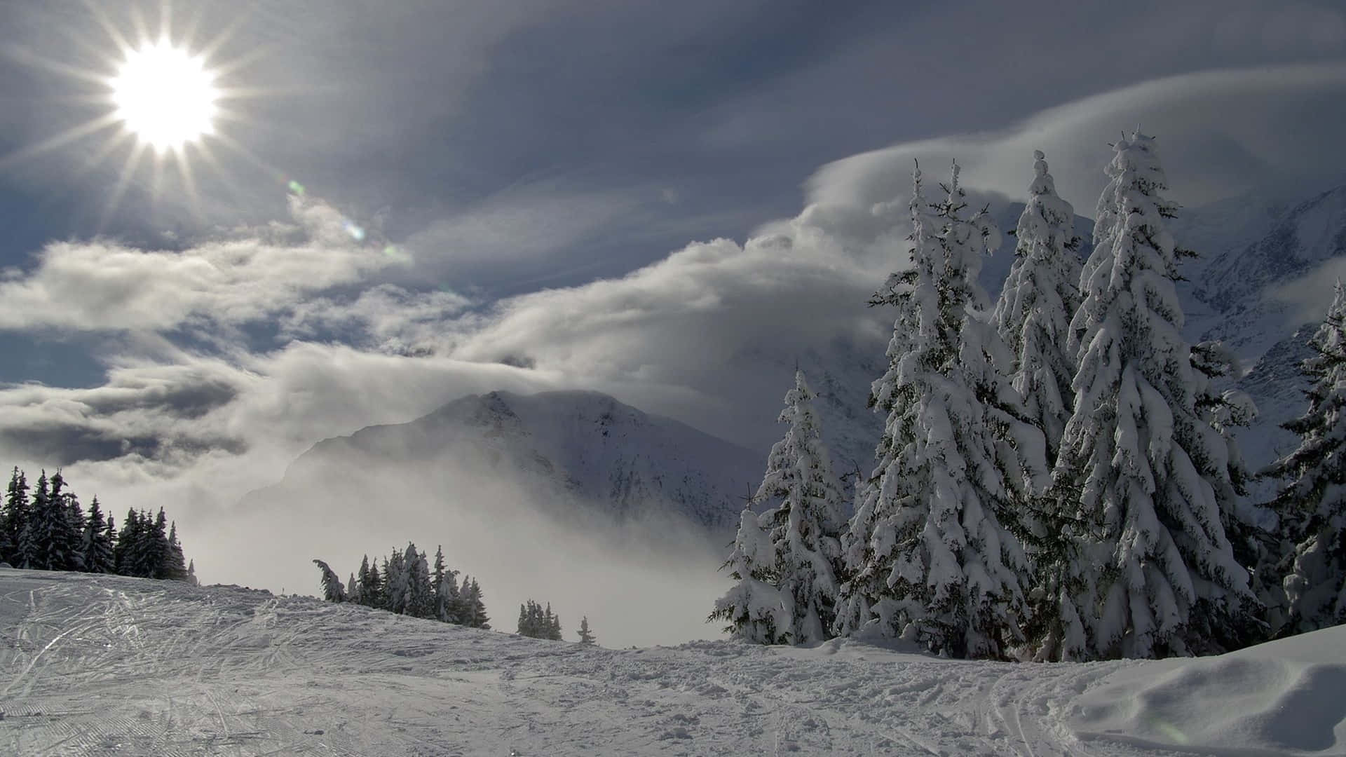 A breathtaking 4k wallpaper showcasing a snow-covered mountain slope on a sunny day. Towering snow-laden pine trees frame the scene, with a pristine ski slope in the foreground and misty mountain peaks in the background. The sun shines brilliantly through the clouds, creating a stunning winter landscape