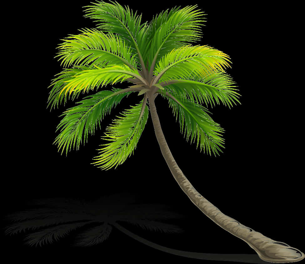 Tropical Coconut Tree Illustration Wallpaper