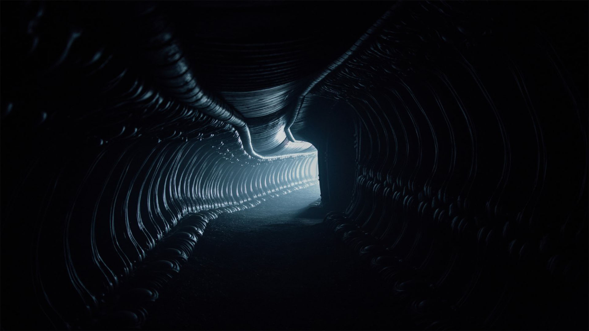 9 HD Alien Covenant Movie Wallpapers   HDWallSourcecom 1920x1080