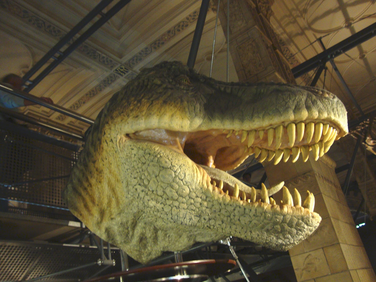 Check Out Those Teeth On This Model T Rex I Learned That If A
