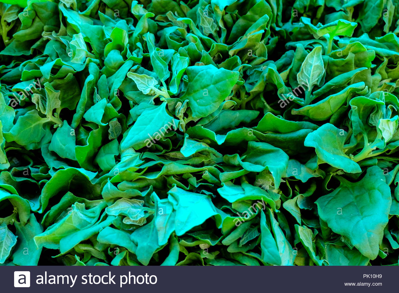 Spinach Background Full Image Top Stock Photo