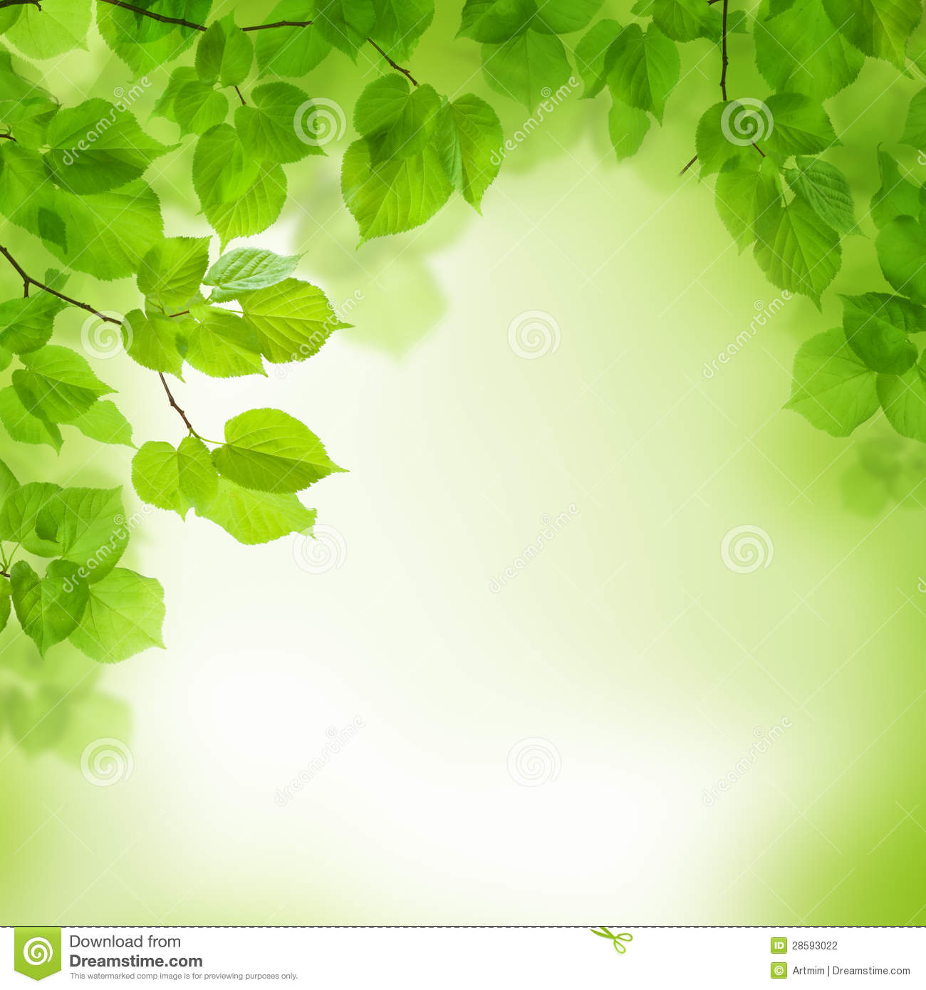Green Leaf Wallpaper Border HD On Picsfair
