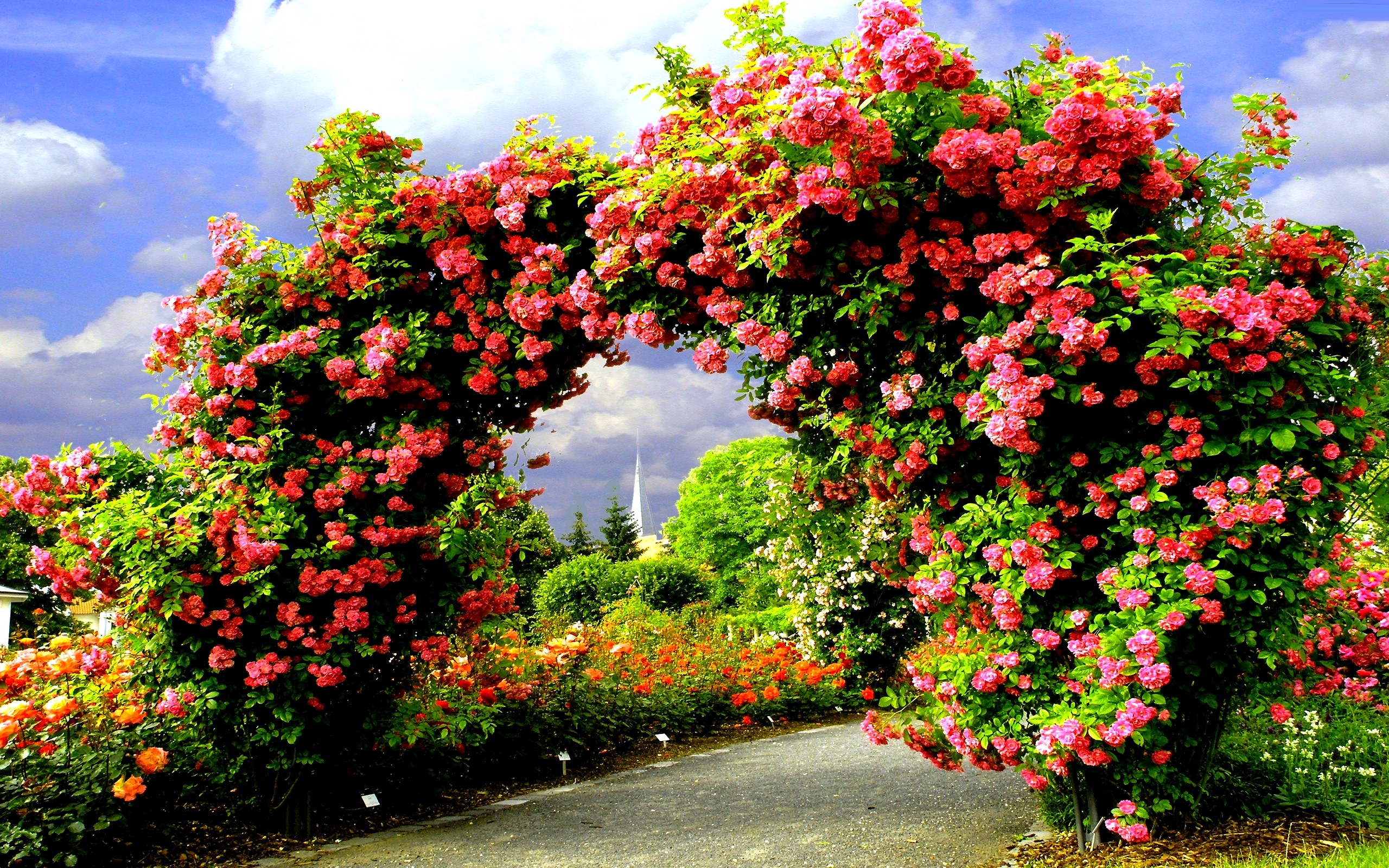 Garden Wallpaper HD