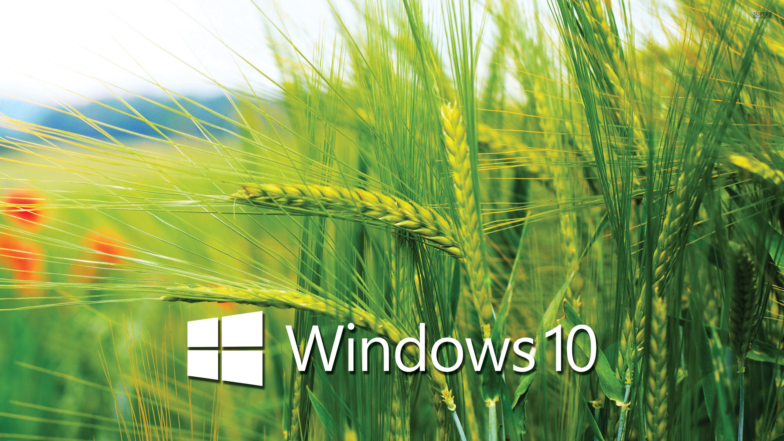 Windows 10 Wallpapers HD STAY056 staywallpaper