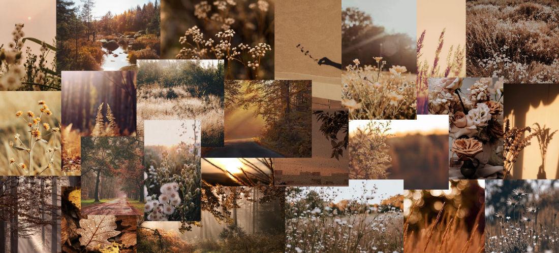 Light Brown Nature Collage By Rosiee33333