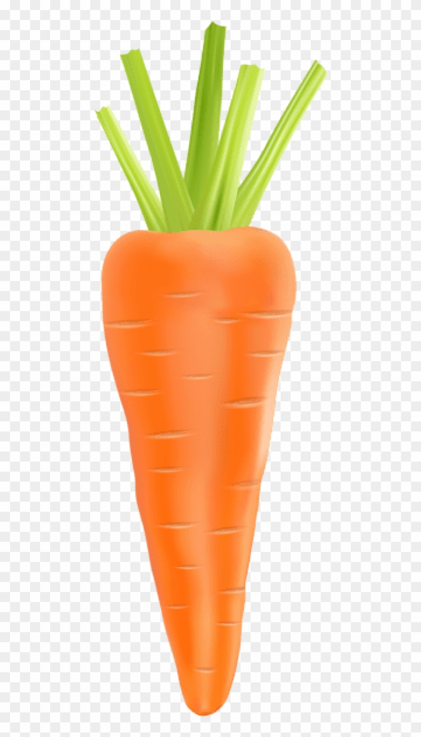 Png Carrot Transparent Image Background