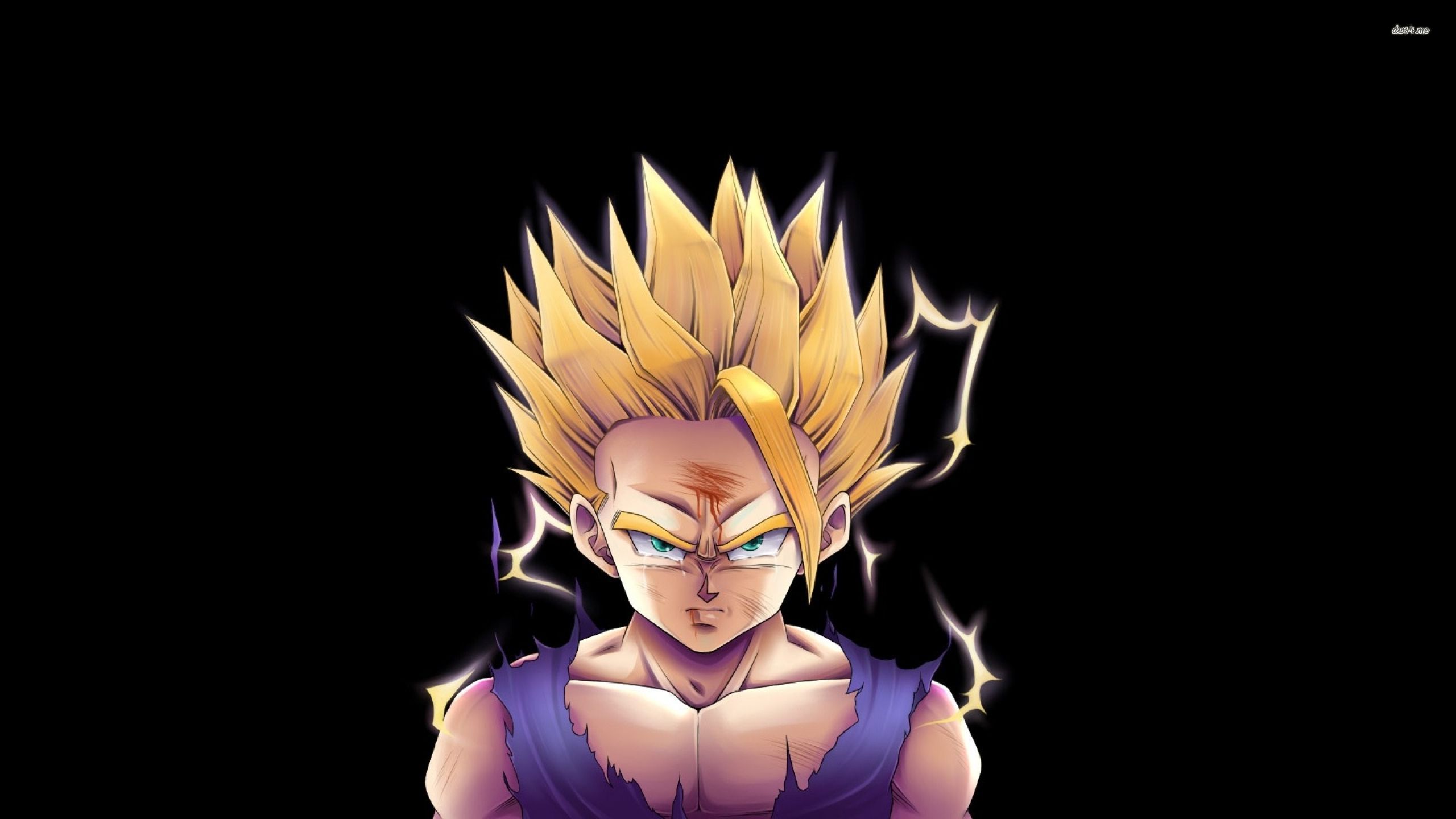 Anime Dragon Ball Z Gohan