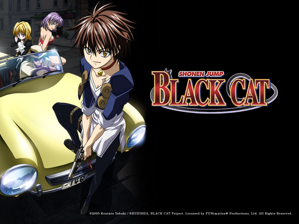 Manga Anime Black Cat