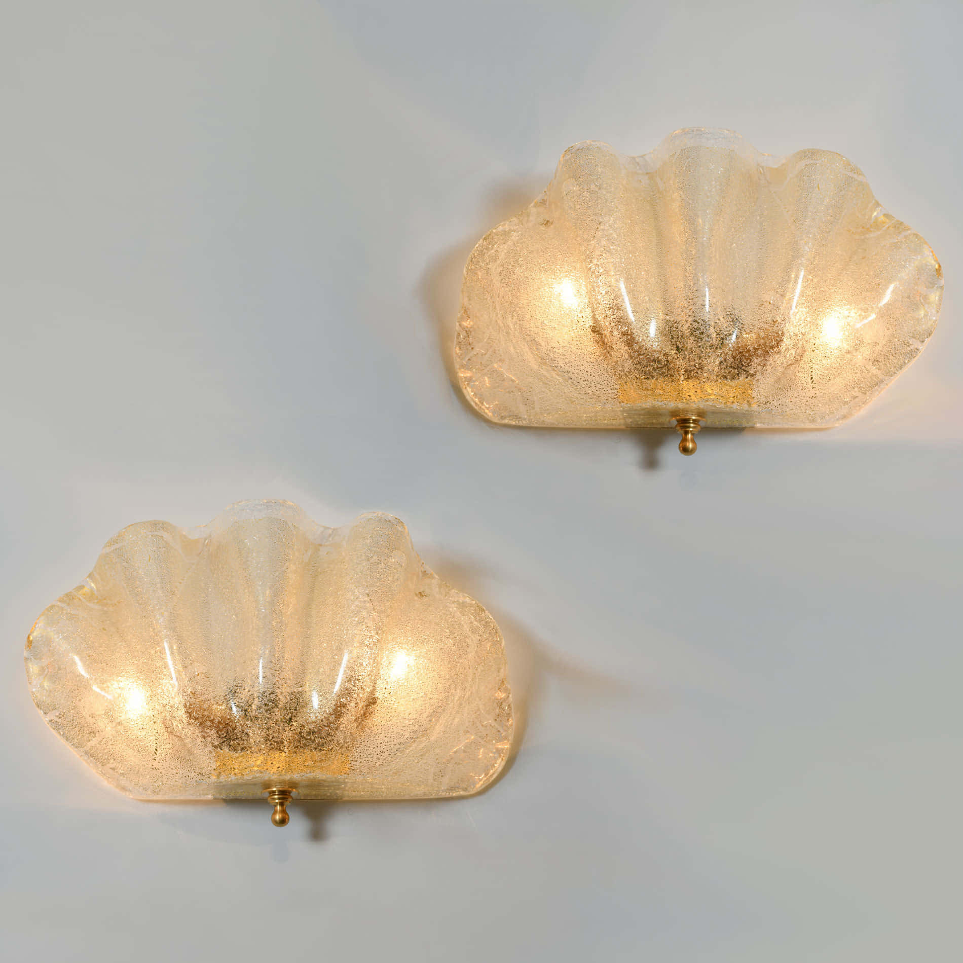 A Pristine Clam Shell On The Rocky Beach Wallpaper