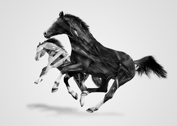 Justin Maller Abstract Horses Wallpaper