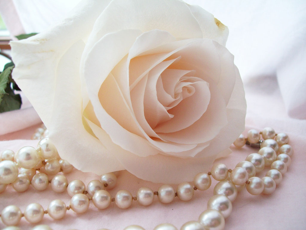 Pearls With Flowers Wallpapers Pearls WithFlowers Desktop Wallpapers