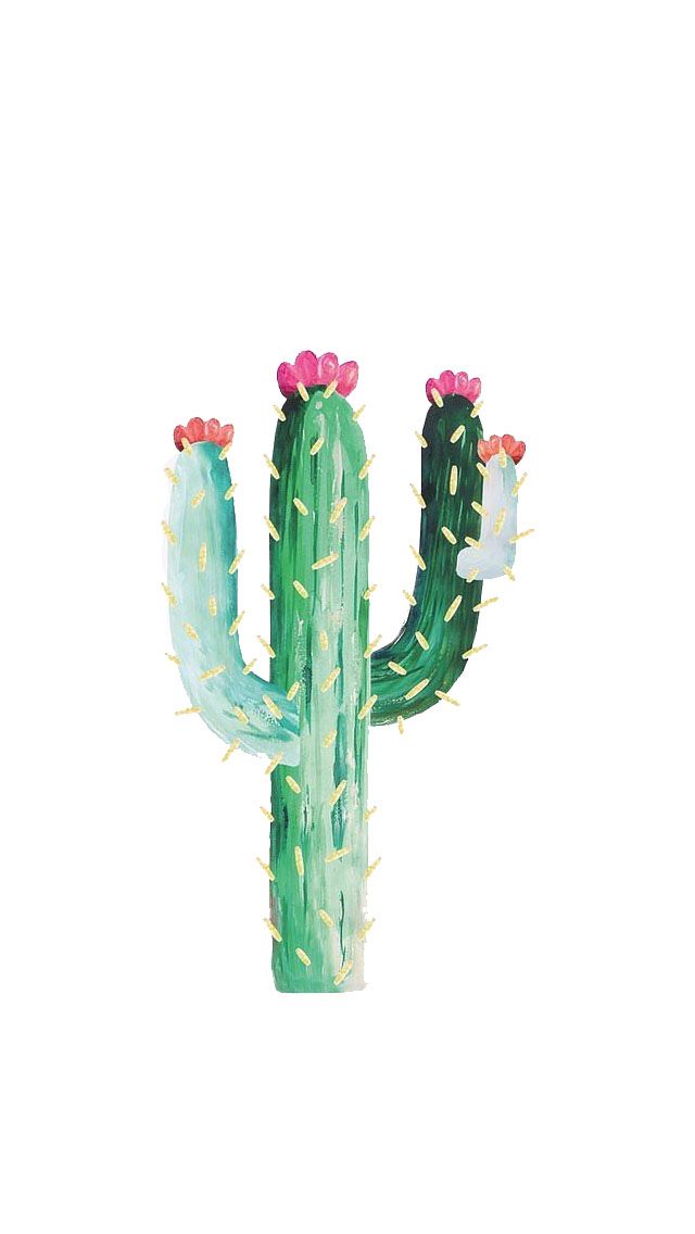 Cactus Wallpaper From My Jewellery Phone Background