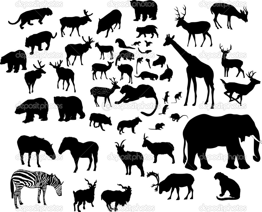 Stock Vector Of Safari Animal Silhouette HD Walls Find Wallpapers