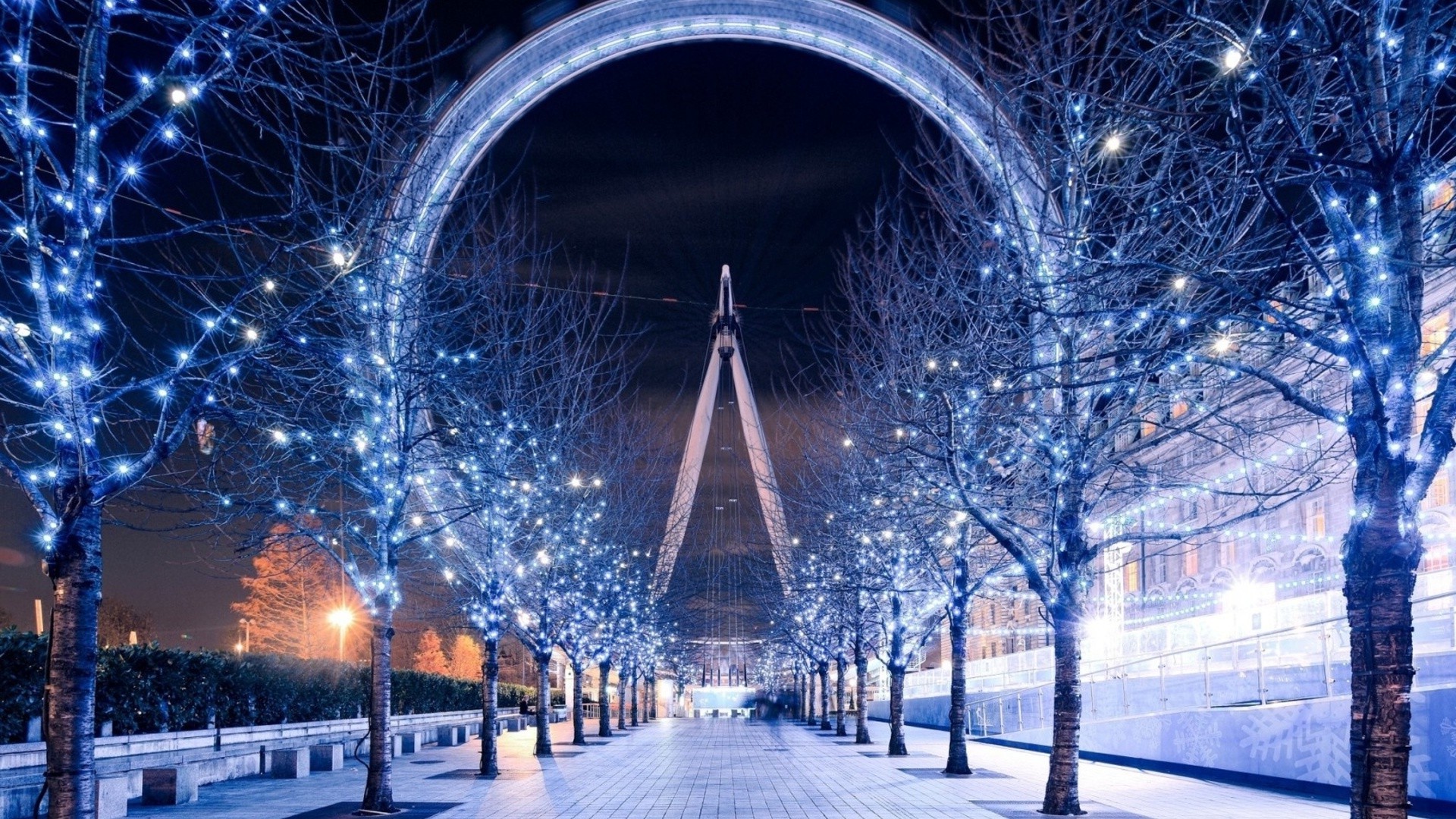 Christmas lights illuminating trees lining a walkway with the London Eye in the background