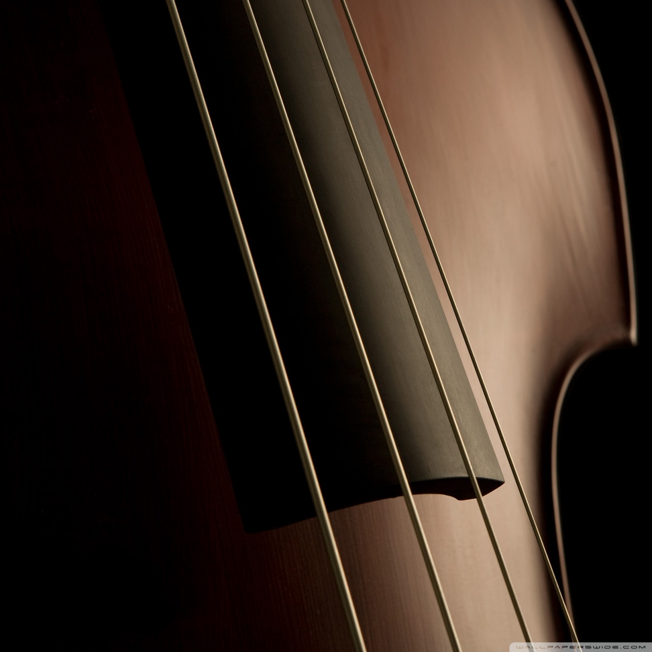 Double Bass Strings 4k HD Desktop Wallpaper For Ultra