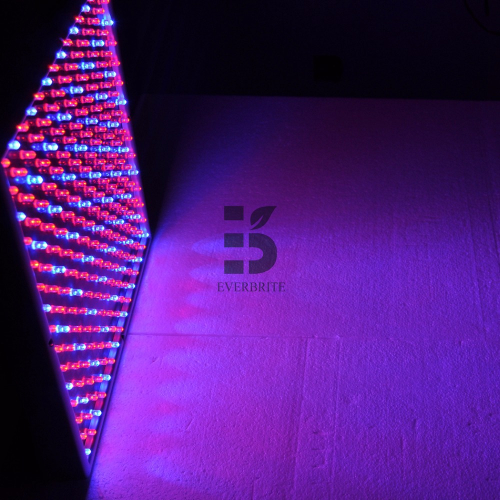 Image Red Blue Led Grow Light Pc Android iPhone And iPad Wallpaper