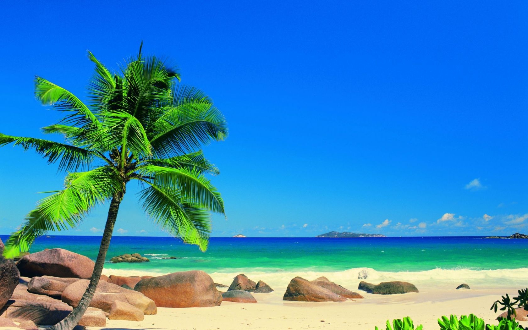 Seychellen Beach With Palm Trees X Close