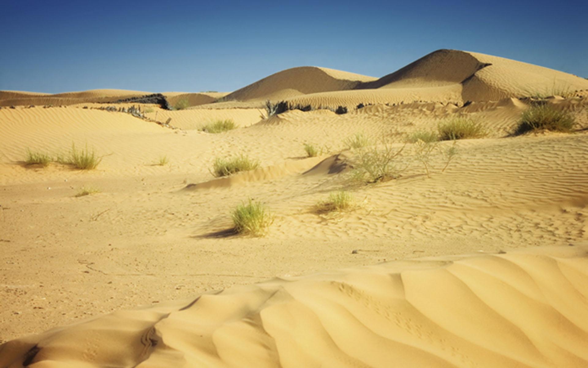 Tunisia Sand Dunes Desktop