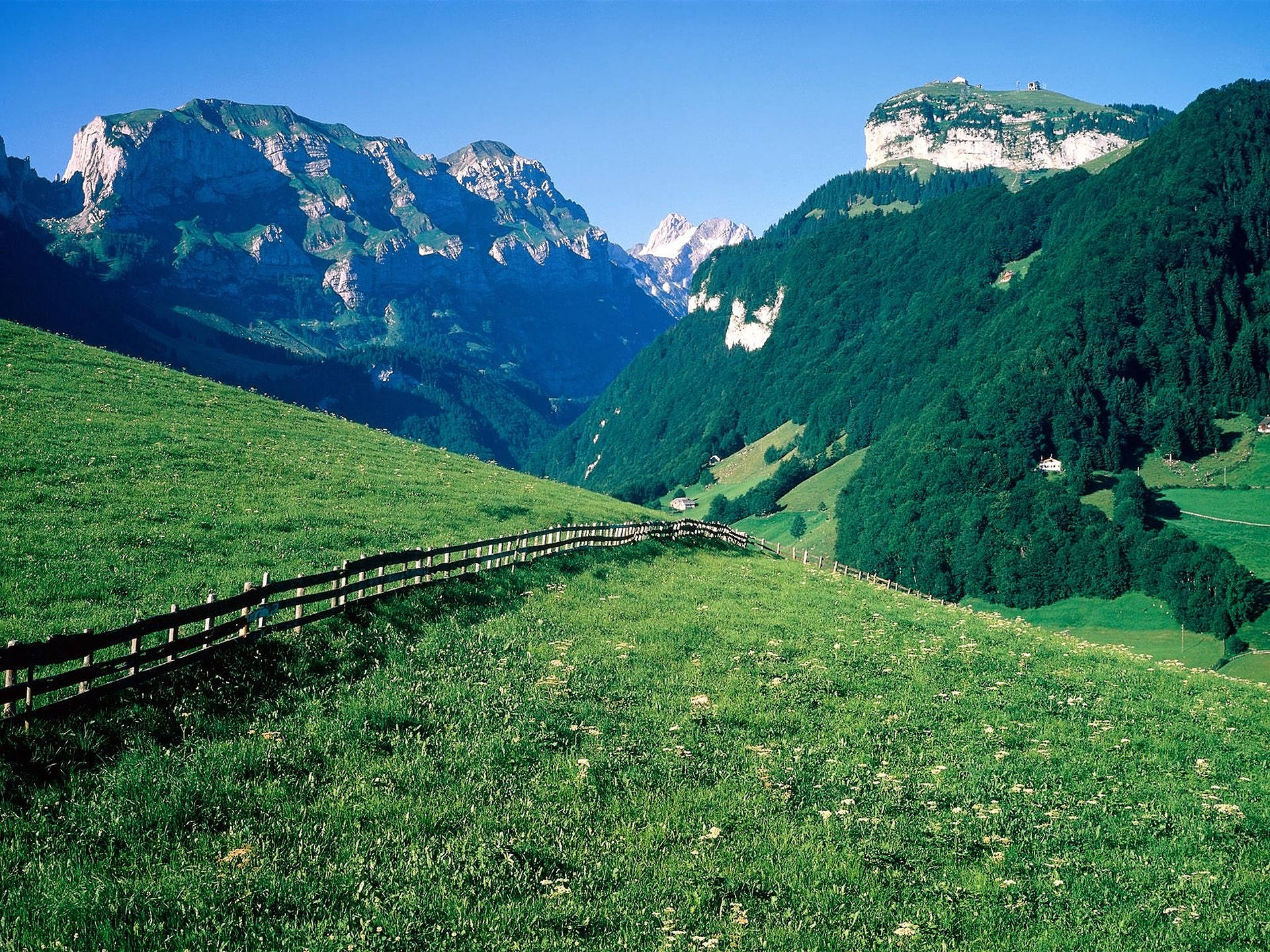 Swiss Alps Wallpaper