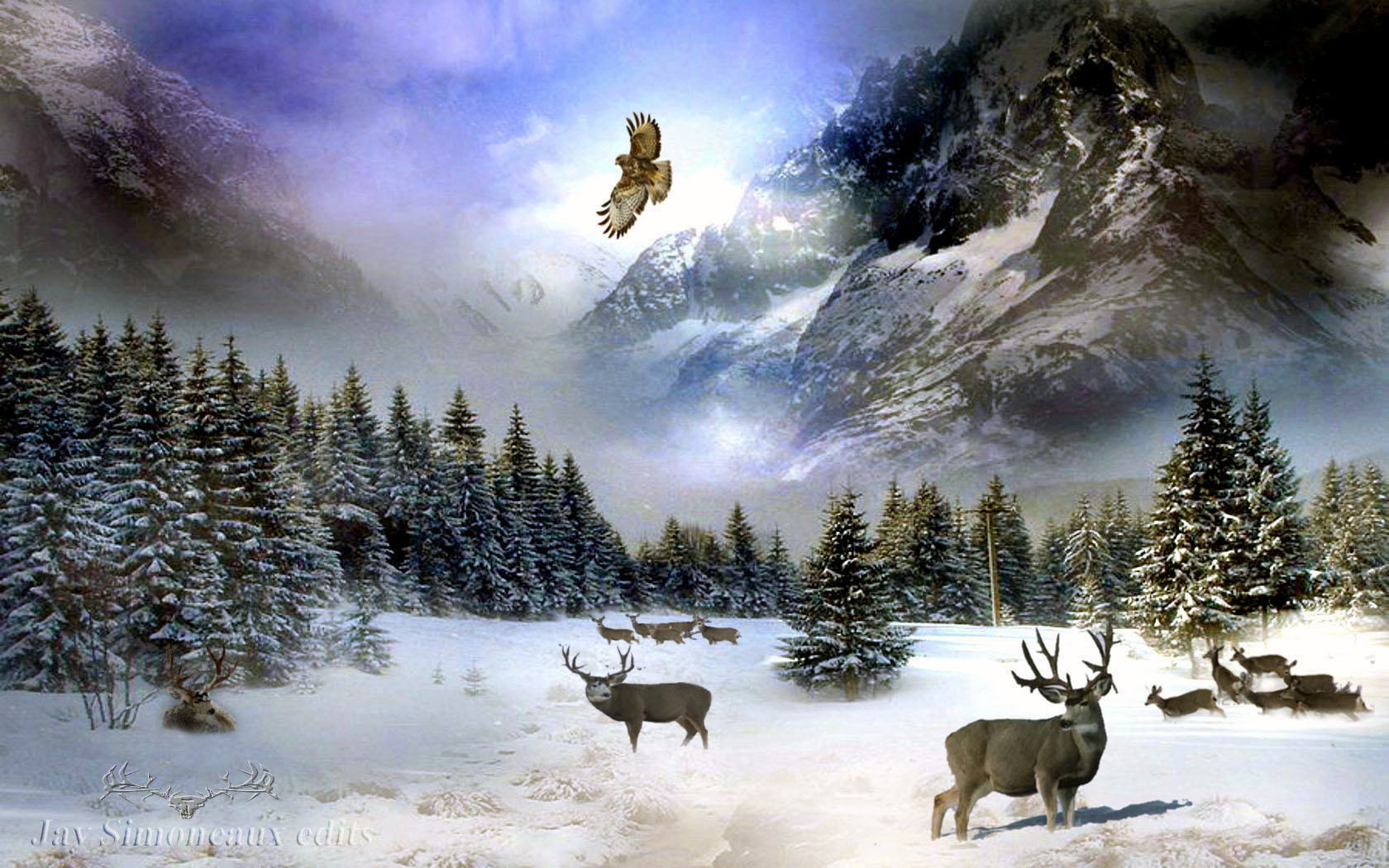 Beautiful Deer In The Snow Wallpaper Car Pictures
