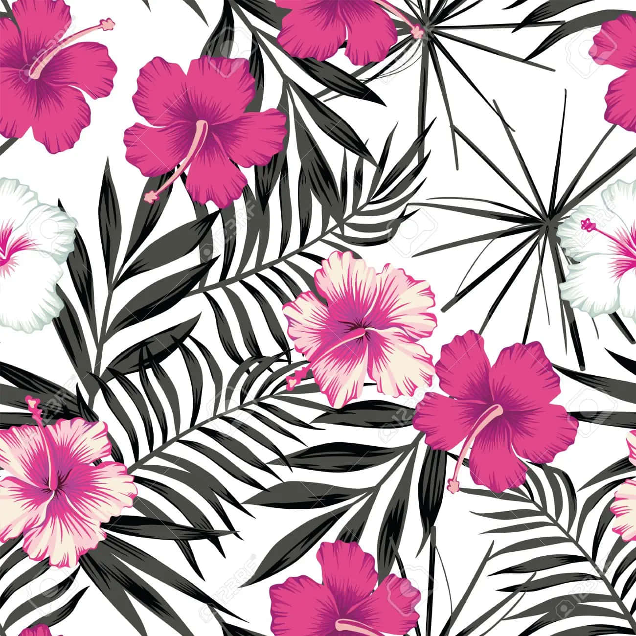 Pink Black And White Wallpaper