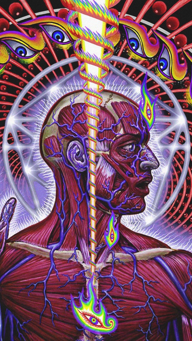 Lateralus Phone Wallpaper R Toolband