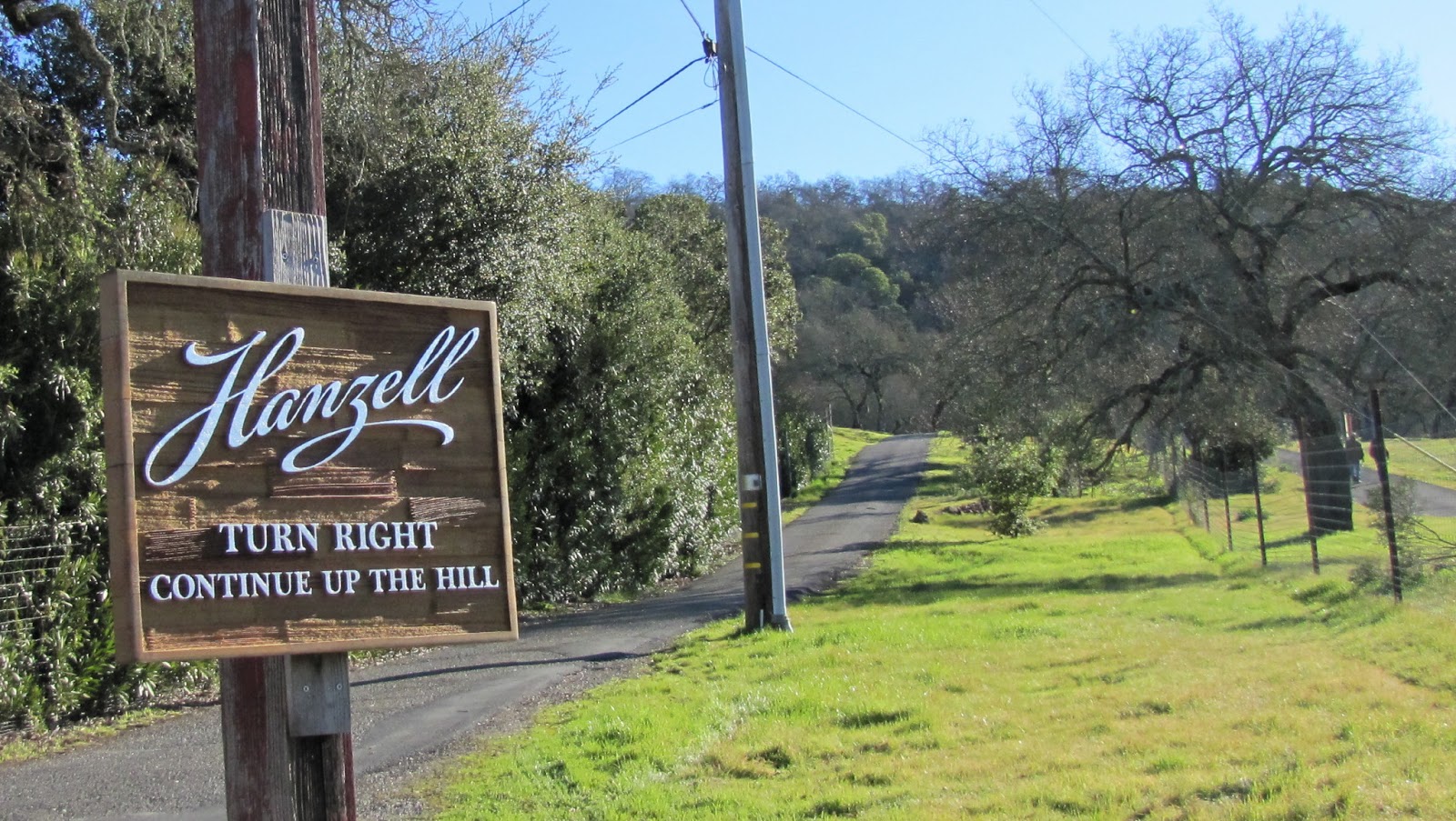 The California Winery Review Hanzell Vineyards Californias