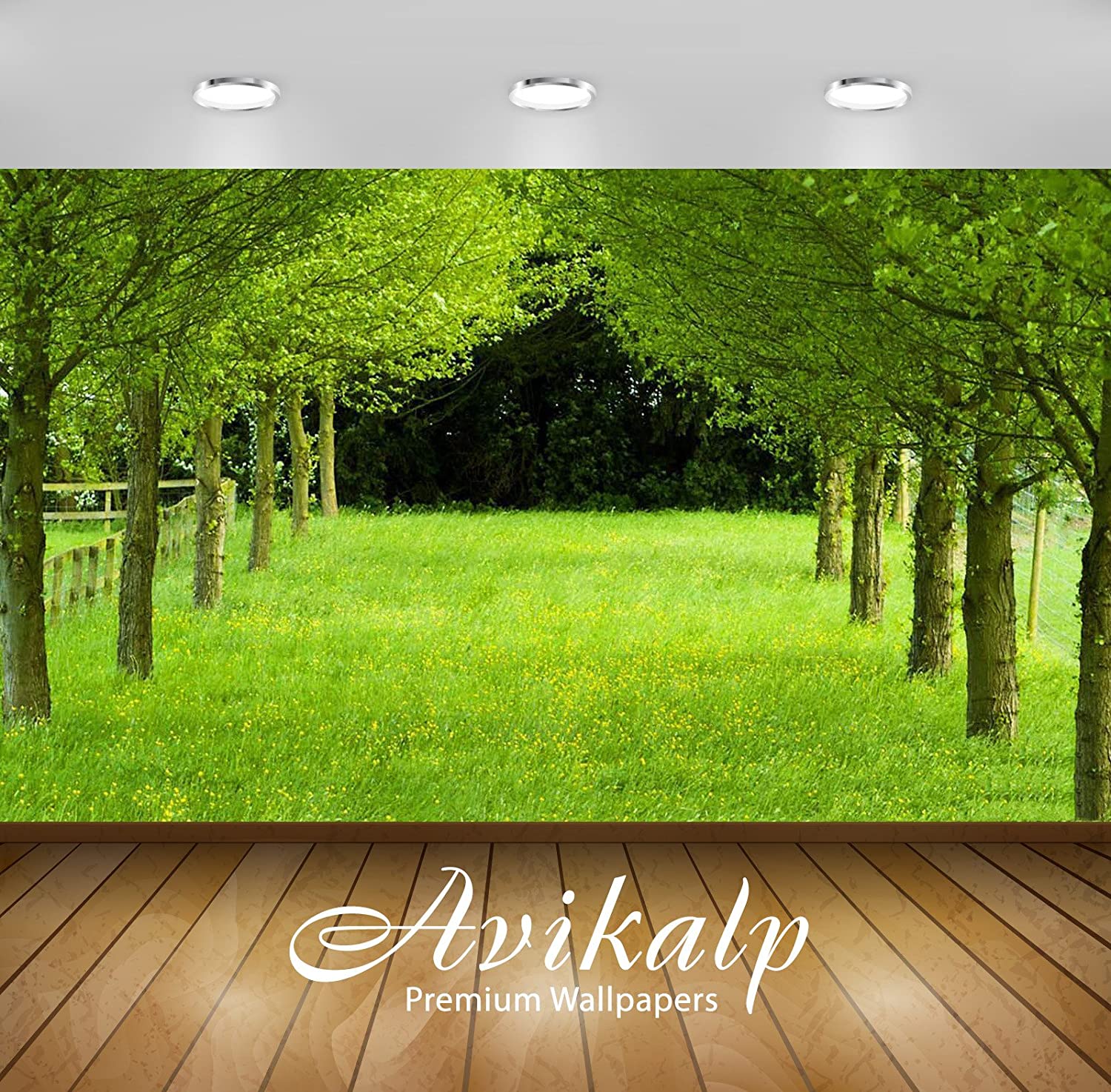 Buy Avikalp Awi3346 Nature Greenery Beautiful Scenery Full HD 3d
