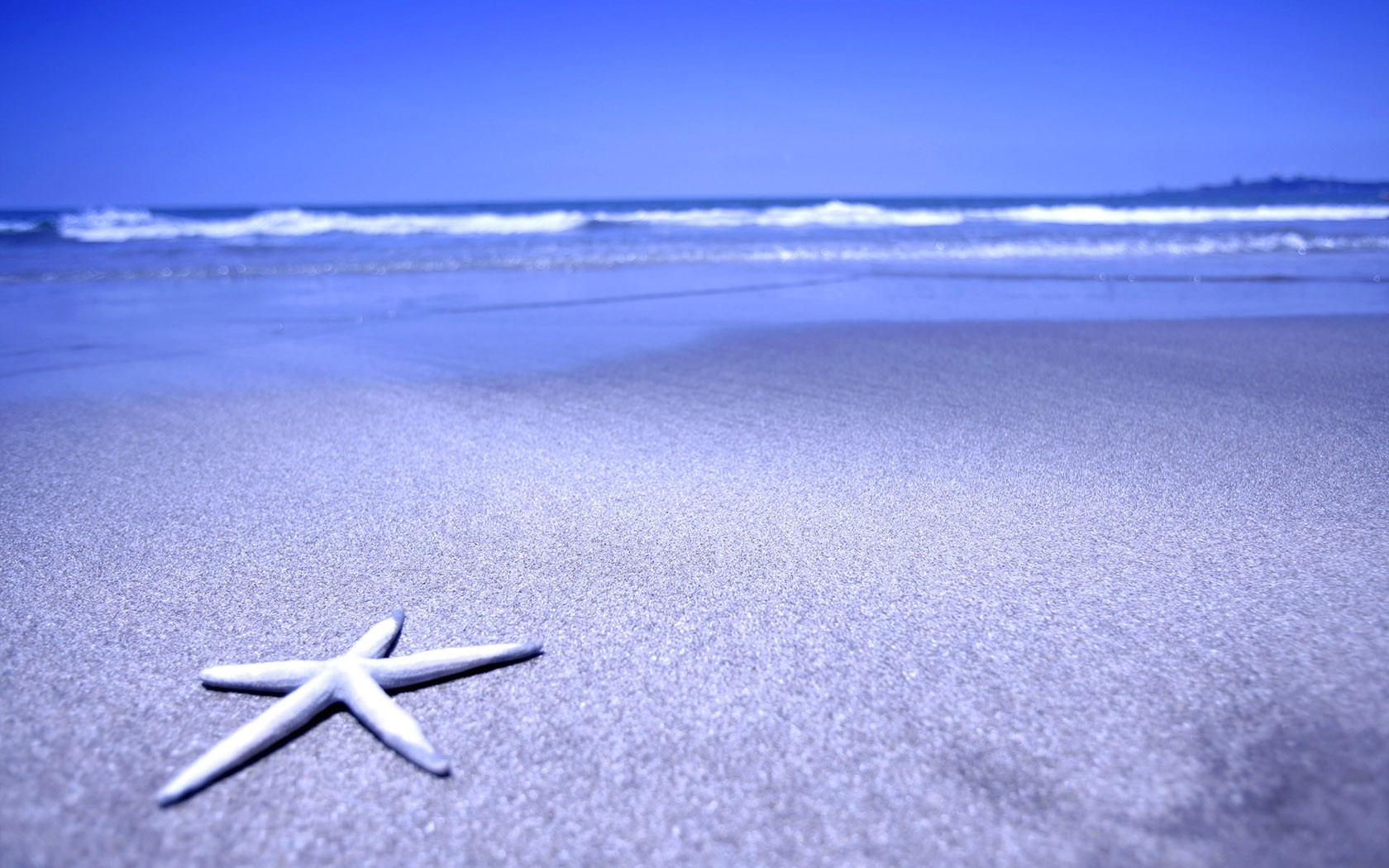 Summer Beach Widescreen Desktop Wallpaper And Stock Photos