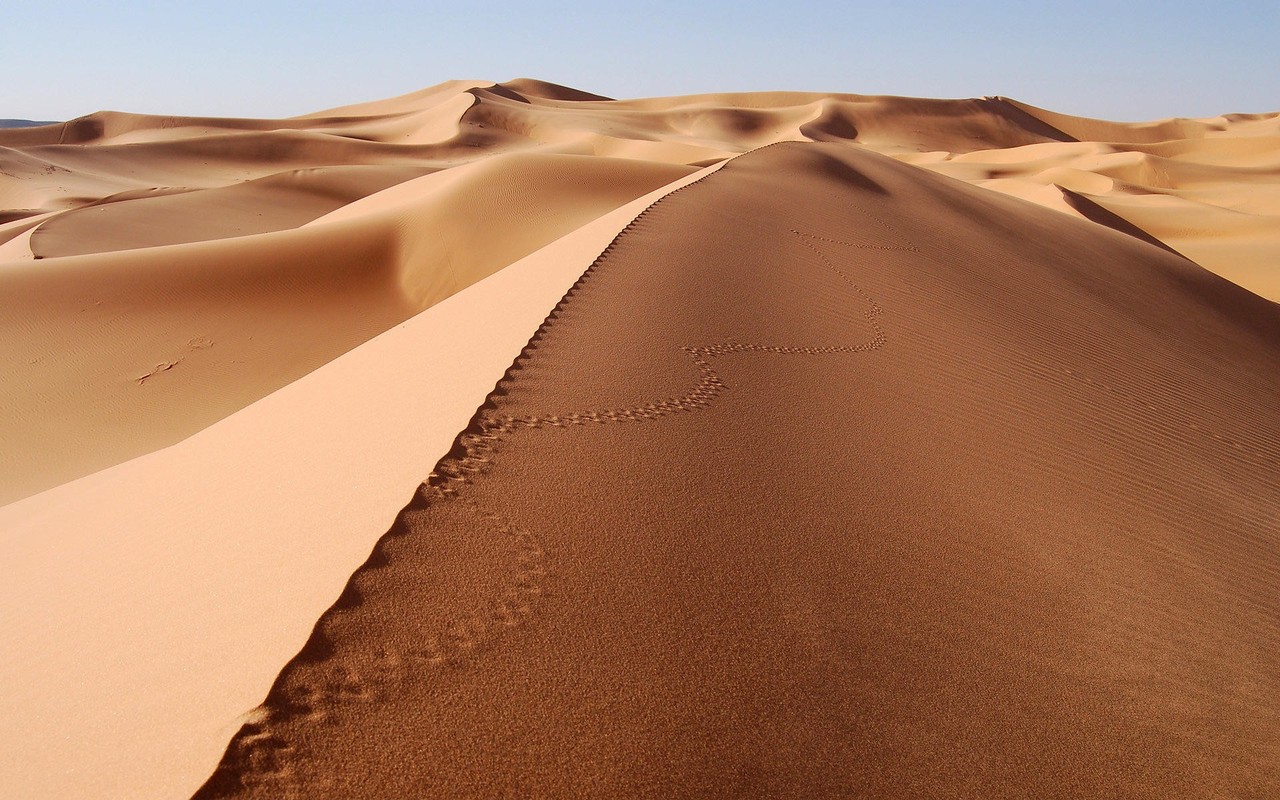 Footprints on the sand dune Widescreen Wallpaper   4529